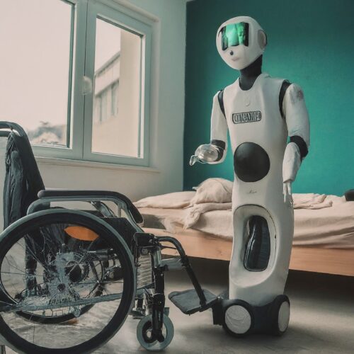 Service Robots as Essential Tools for Disability Support