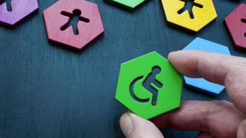 Understanding NDIS Co-Design in the Disability Community